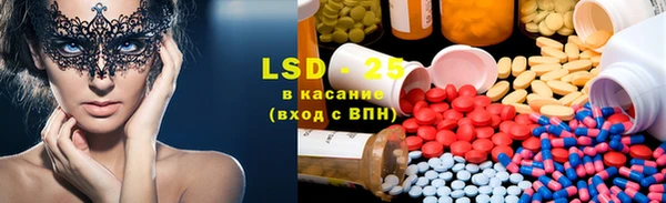 PSILOCYBIN Белокуриха