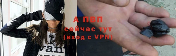 PSILOCYBIN Белокуриха