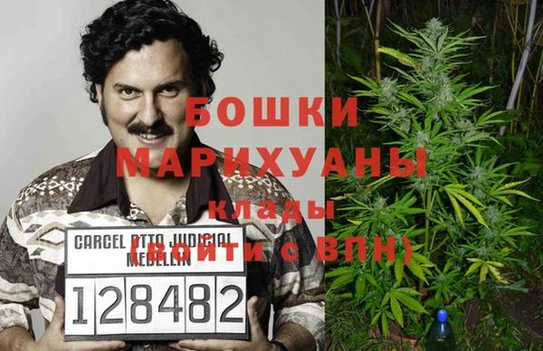PSILOCYBIN Белокуриха