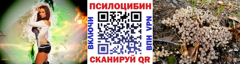 Псилоцибиновые грибы мицелий  Костомукша 